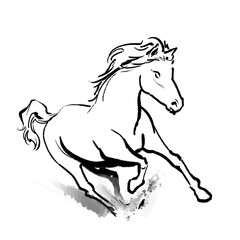 右前方に駆ける白馬