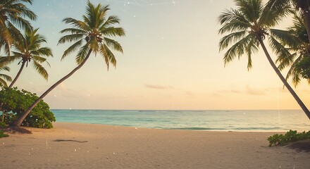 Obraz premium Tropical sandy ocean beach with palm trees vintage toned with film distress flare