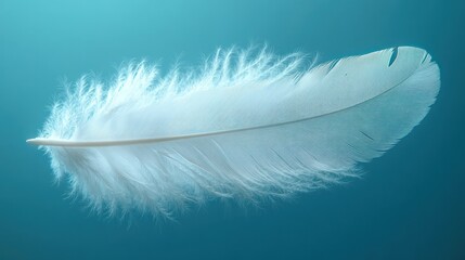 Obraz premium A white feather floating softly against a turquoise background, highlighting the delicate texture and light reflections of the feather