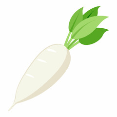 white long radish