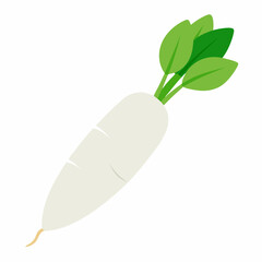 white long radish