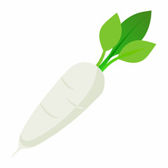 white long radish