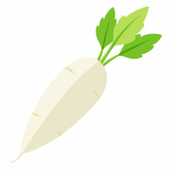 white long radish