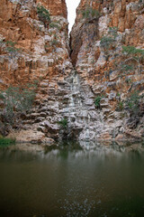 Fountain Springs Watering Hole. Far North Queensland