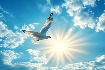 Seagull soaring in bright sunlit sky.