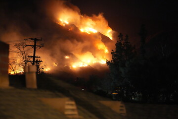 Eaton Canyon Fire Spread to Arcadia in Los Angeles 2025