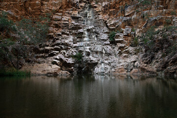 Fountain Springs Watering Hole. Far North Queensland