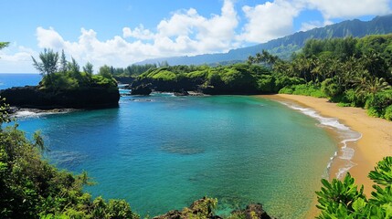 Fototapeta premium Secluded Cove Paradise: A Tropical Getaway