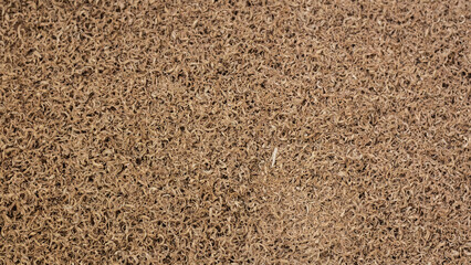 Natural wood sawdust background. Waste wood processing in the workshop