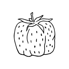 Strawberries are hand-drawn. Linear black and white drawing.  Strawberry illustration for printing and decoration.