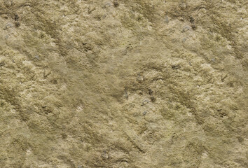 Authentic Soil and Rock Surface 6K – Design and Material Study
