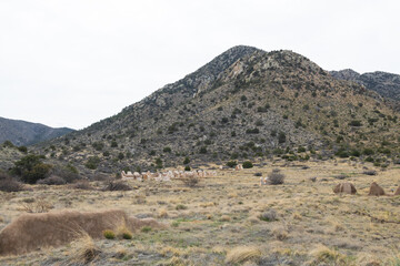 Ruins at Fort Bowie National Historic Site, Arizona