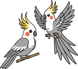Cute cockatiel cartoon illustration design art