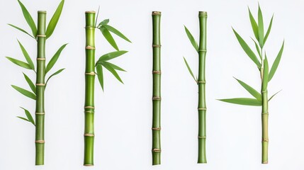Naklejka premium Variety of Bamboo Sticks and Leaves Isolated on White Background Ideal for Nature, Gardening, and Eco-Friendly Design Projects