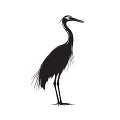 black crowned crane