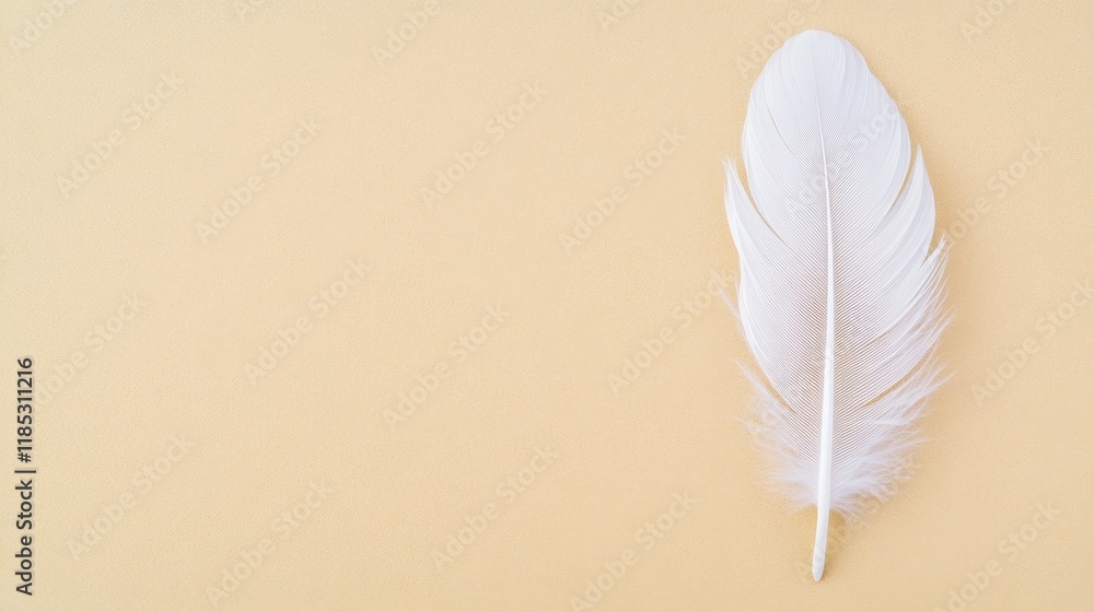 Poster soft and elegant white feather on a smooth yellow background for nature and design inspired themes a