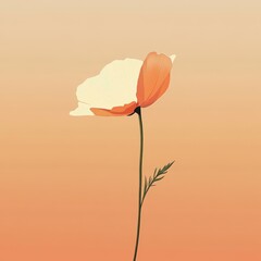 Fototapeta premium Elegant Peach and Cream Poppy Flower Illustration