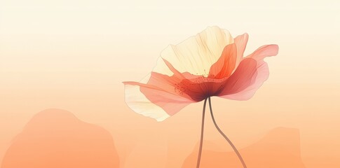 Fototapeta premium Delicate Peach Poppy Flower Against Soft Background