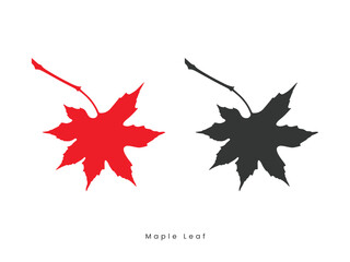 Autumn Maple Leaf silhouettes