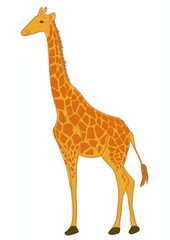 Obraz premium giraffe illustration. 