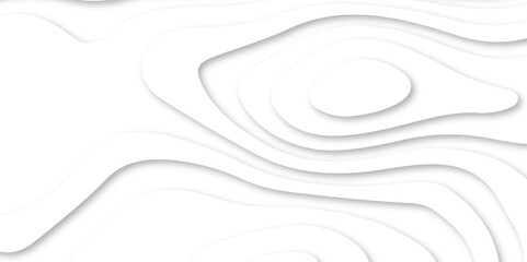 Vector minimal light element shadow landscape wave element curve graphic papercut design. Background with lines Modern white carve wave line abstract luxury papercut background.