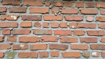 Obraz premium A weathered brick wall with cracked, chipped bricks, faded colors, and patches of moss or ivy. Time and elements have left their mark, revealing a textured, historical beauty.