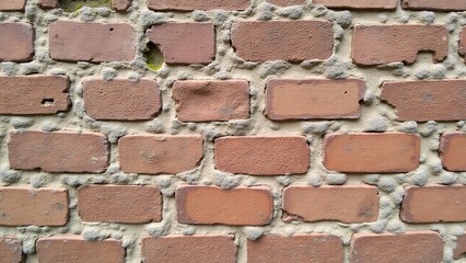 A weathered brick wall with cracked, chipped bricks, faded colors, and patches of moss or ivy. Time and elements have left their mark, revealing a textured, historical beauty.