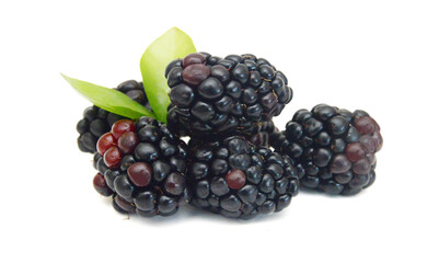 Fresh blackberry on white background