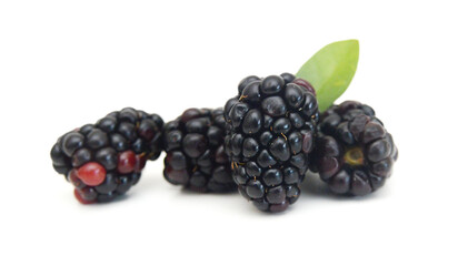 Fresh blackberry on white background