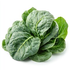 Fototapeta premium Vibrant Green Leafy Vegetable: Fresh, Organic Produce for Healthy Eating