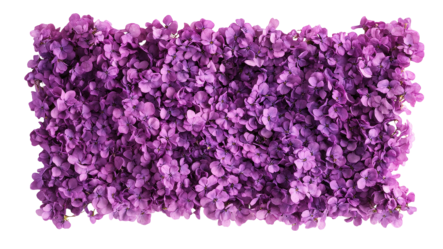 Square frame adorned with vibrant purple flower clusters, creating a striking and colorful decorative piece.