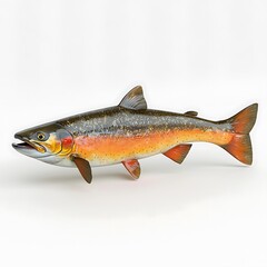 Obraz premium A detailed studio shot of a vibrant Arctic char, showcasing its intricate scales and striking orange-red coloration against a clean white background.