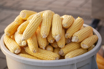 Stacked sweet corn on the cob sits on the table, a staple food in cuisine