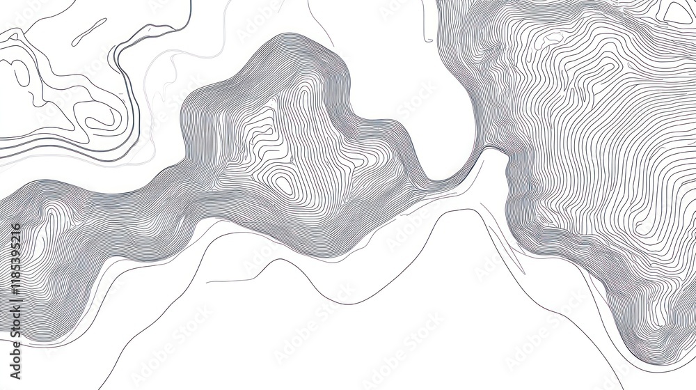 Poster abstract topographic map lines, grayscale design.