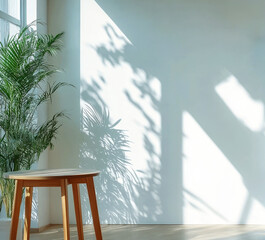 a table with green tropical plant leaf and beautiful sun light and shadow on wall .