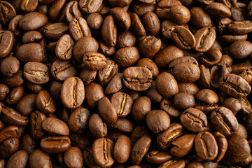 Coffee beans, shopping online for export or import food product.