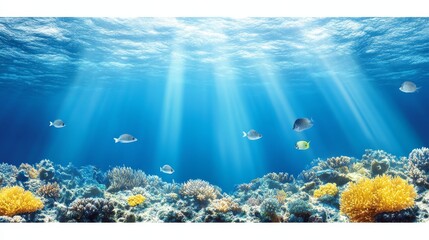 Fototapeta premium Underwater Scene Sunbeams Illuminate Vibrant Coral Reef and Fish