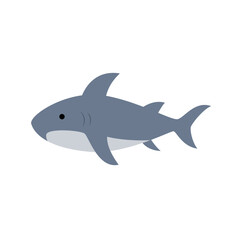 shark element illustration 