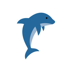 dolphin illustration
