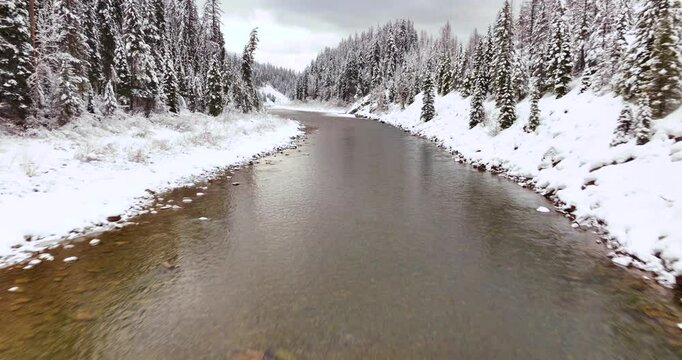 Snow-Covered Trees Aerial Drone Glacier National Park Winter Vistas