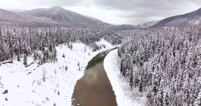 Winter Forest Flyover Aerial Drone Glacier National Park