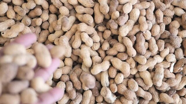 top view of Several peanuts in a basket.