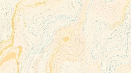 Abstract Topographic Lines