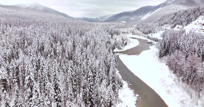 Snow-Covered Forest and River Aerial Drone Glacier National Park