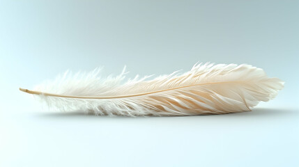 Obraz premium Single white feather rests on pale surface against a light blue background; perfect for design projects