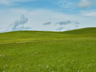 Rolling Green Hills Under Cloudy Sky