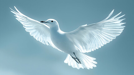 Obraz premium White dove soaring, wings spread, peaceful blue sky, hope symbol, spiritual peace imagery