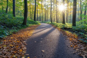 Obraz premium Serene Autumn Path Through Golden Forest