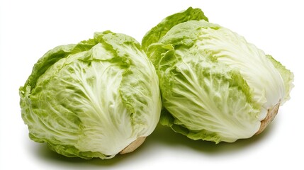 Fototapeta premium Fresh Green Lettuce: Crisp, Healthy, and Delicious