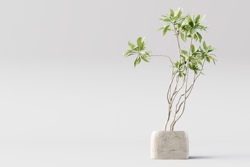 Naturally moving potted plant on a white background, 3d